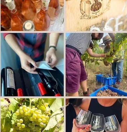 Boutique Surf House In Surf Paradise * Santo Isidoro