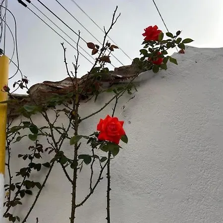 Вилла Boutique Surf House In Surf Paradise *