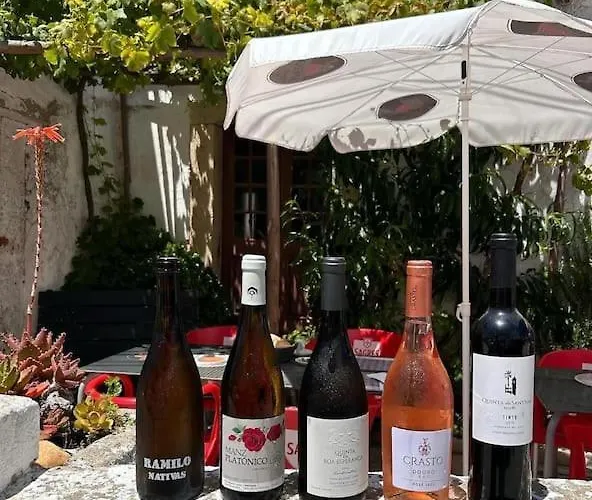 Villa Boutique Surf House In Surf Paradise