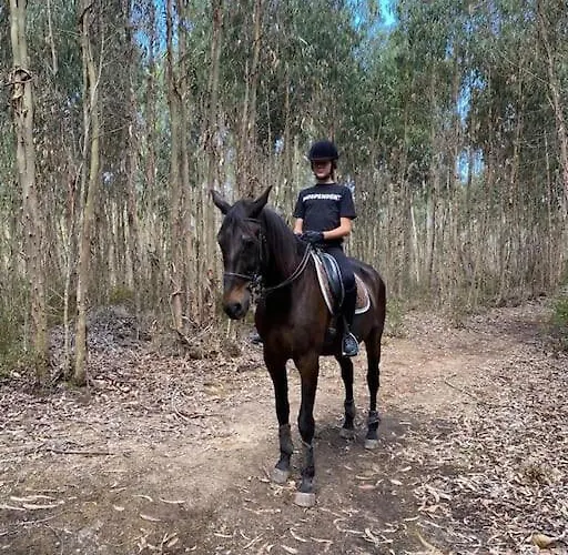 Boutique Surf House In Surf Paradise Santo Isidoro