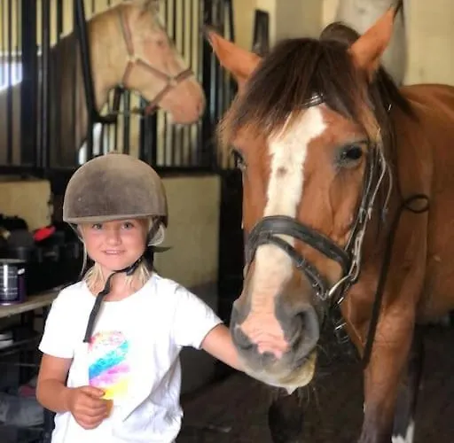 Boutique Surf House In Surf Paradise