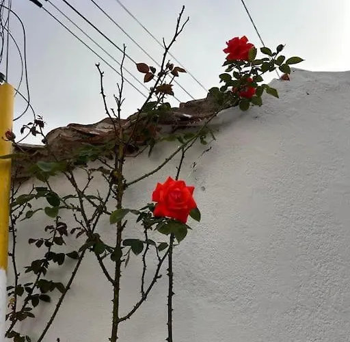 Villa Boutique Surf House In Surf Paradise *