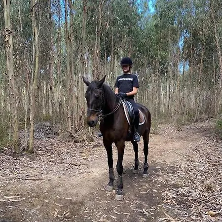 Boutique Surf House In Surf Paradise Santo Isidoro