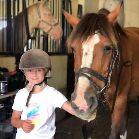 Boutique Surf House In Surf Paradise