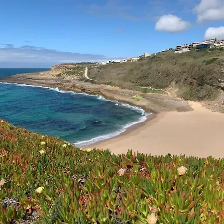 Boutique Surf House In Surf Paradise Villa *