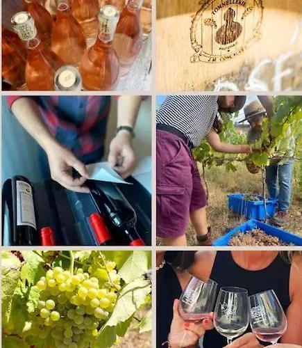 Boutique Surf House In Surf Paradise * Santo Isidoro